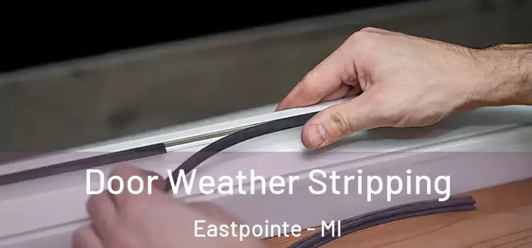 Door Weather Stripping Eastpointe - MI