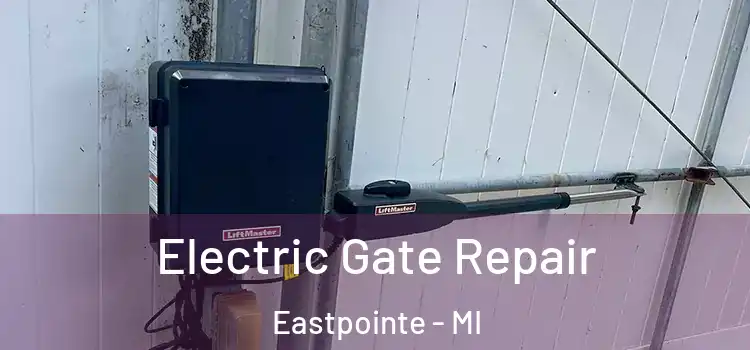 Electric Gate Repair Eastpointe - MI