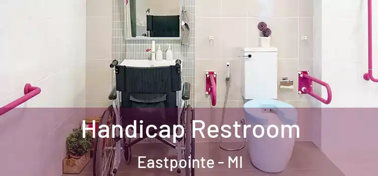  Handicap Restroom Eastpointe - MI