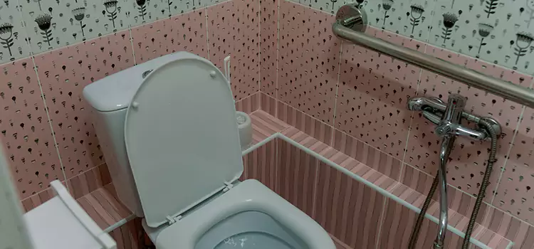 Meeting Diverse Needs With Accessible Restroom Solutions in Eastpointe, MI