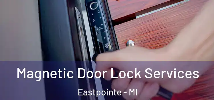 Magnetic Door Lock Services Eastpointe - MI