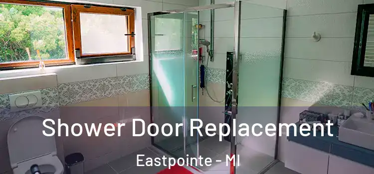 Shower Door Replacement Eastpointe - MI
